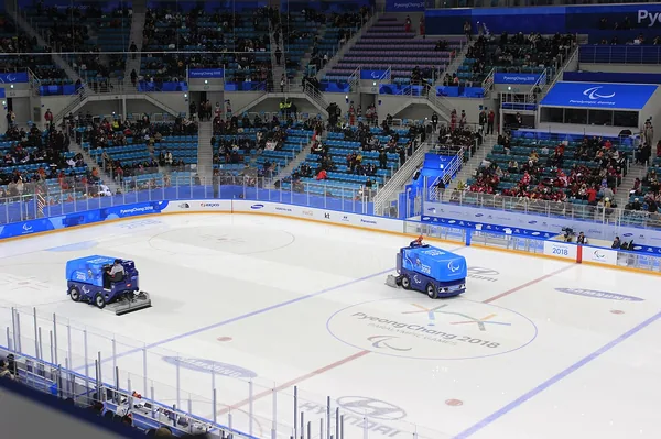 HD Arena Elite ��� NHL 09