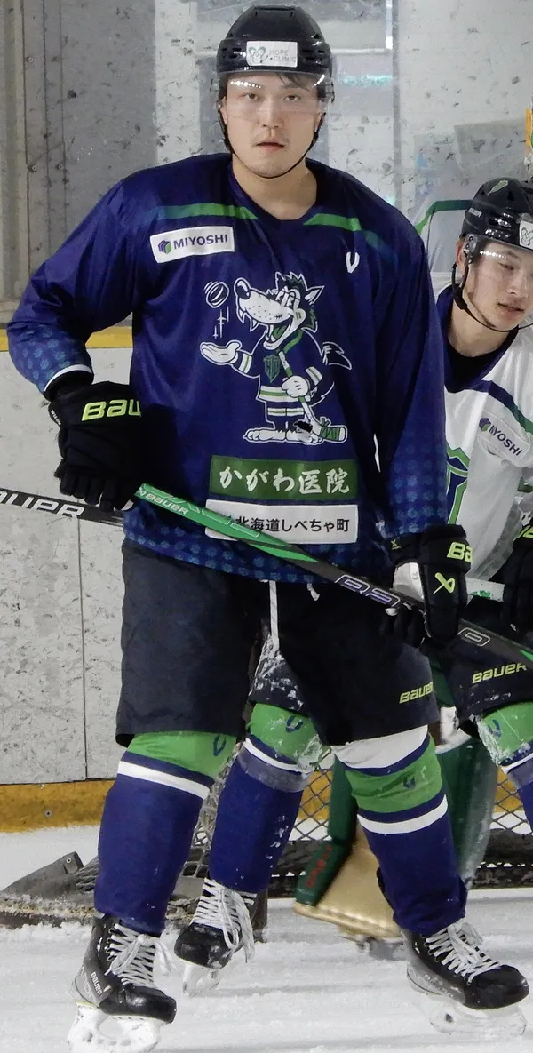 ����: Project NHL 07