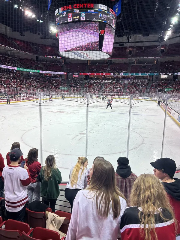 ����: ��������