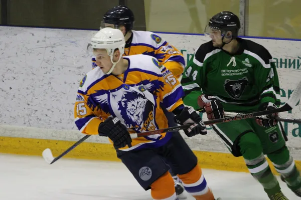 ����: EA NHL 09. �����������.