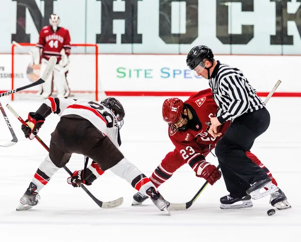 ����: ������ ������ � NHL 09