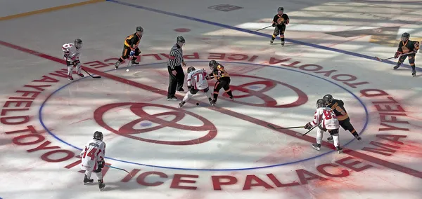 ����: ������ �� NHL09