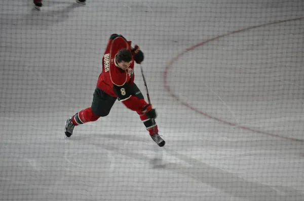 ����: ��� ��� nhl09