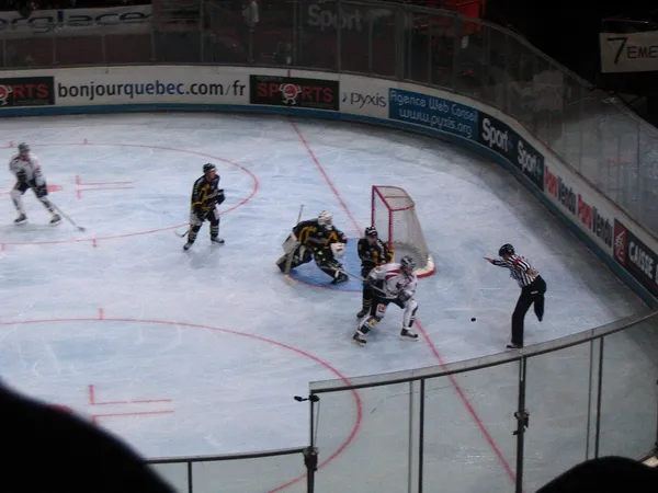 ����: REAL Game Play ��� NHL09