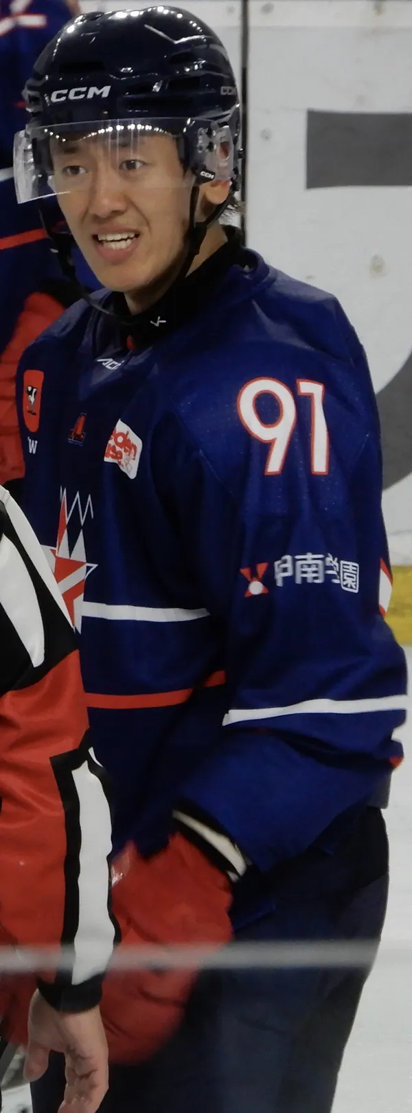 Тема: причины пропажи киберов при повторах в nhl09