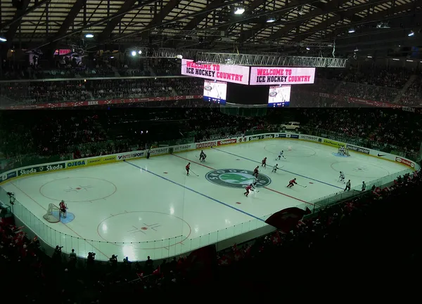 Тема: Калачинская Лига NHL
