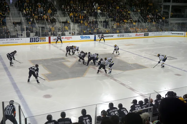 ����: ������� �� NHL09