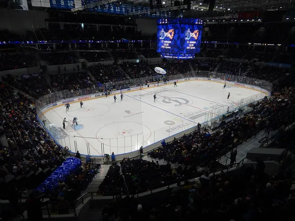 Тема: NHL 09 ЛЕГКО ИГРАТЬ