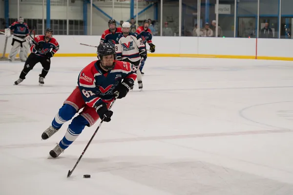 ����: ������ NHL 09. ������� � ����������