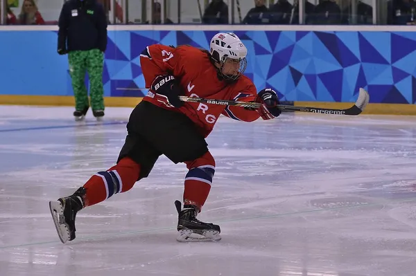 Тема: Чистая NHL 09. Скачать и установить