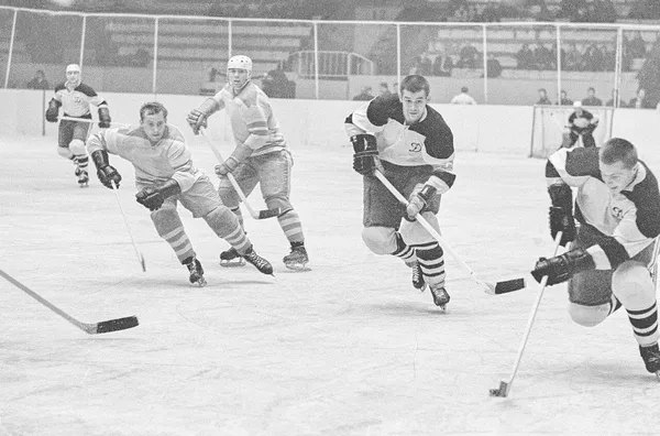 ����: ������ NHL 09. ������� � ����������