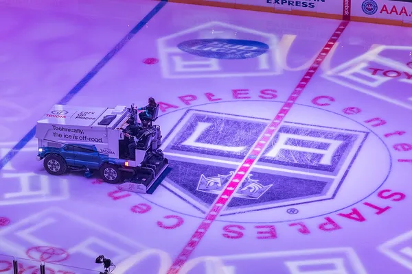 ����: EA NHL 11: ����������