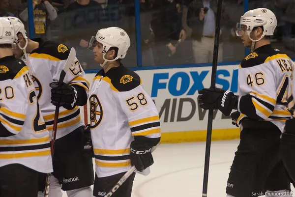 ����: EA NHL 11: ����������