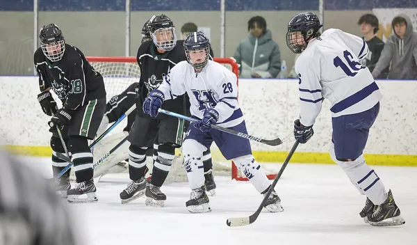 ����: NHL Eastside Hockey Manager