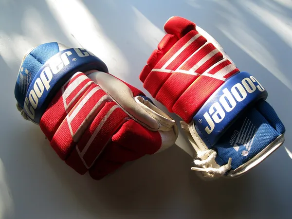 Тема: NHL 2k10 PC