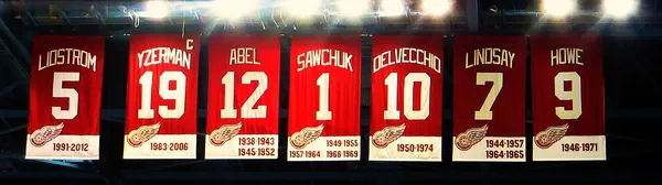 Тема: ВСЕМ ПОМОГУ по NHL View!!!!