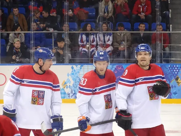 ����: ��������� ����� ��˻ ��� NHL09