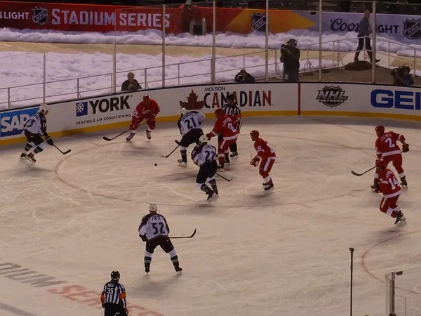����: ����� ����������� ��� NHL 2005