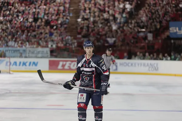 ����: RHL 2004 Play-by-Play