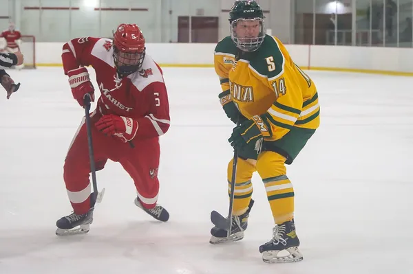 ����: [NHL 2009] - �������������� � ������������ ������.