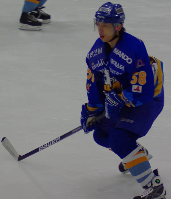 ����: [NHL 2009] - �������������� � ������������ ������.