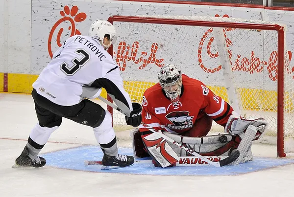 ����: [NHL 2009] - �������������� � ������������ ������.