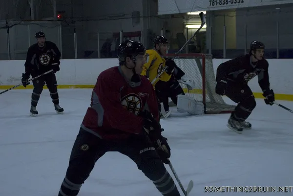 ����: [NHL 2009] - �������������� � ������������ ������.