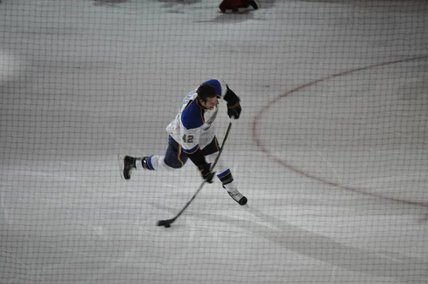 ����: �������� Nhl 09