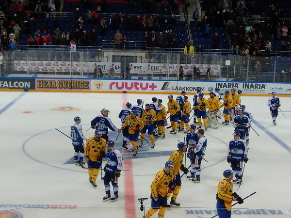 Тема: Проблема со звуком в RHL mod