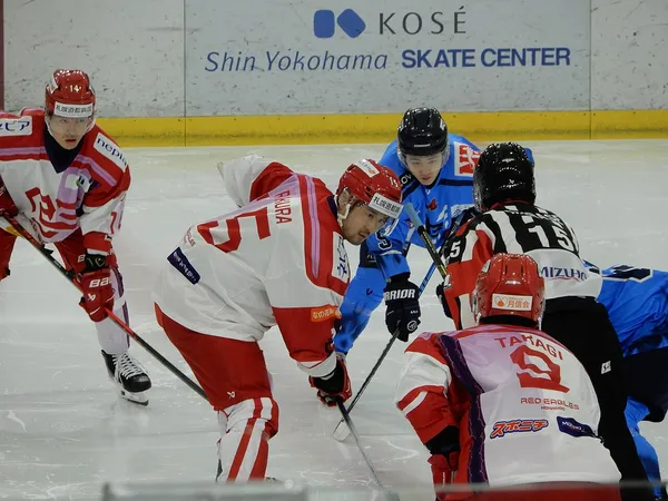 Тема: Будут ли новые составы 22-23 на RHL 16