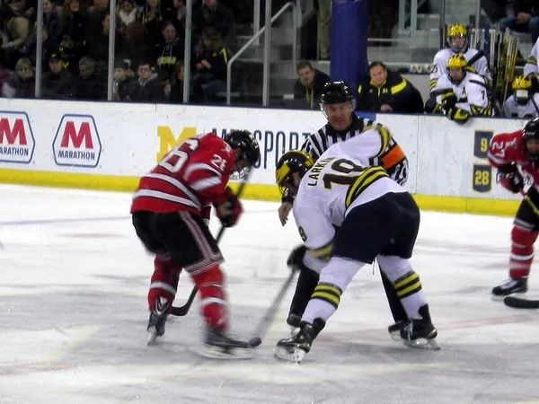����: ����������: ������������ � ����� NHL 09