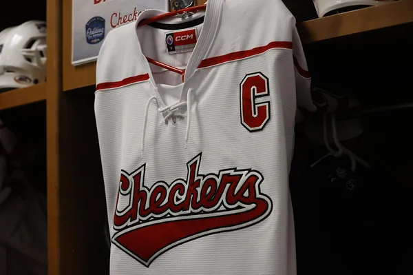 ����: ����������: ������������ � ����� NHL 09
