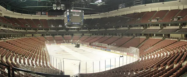 ����: ��������� ����� ��˻ ��� NHL09