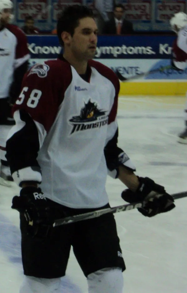 ����: ������ � Nhl 2006