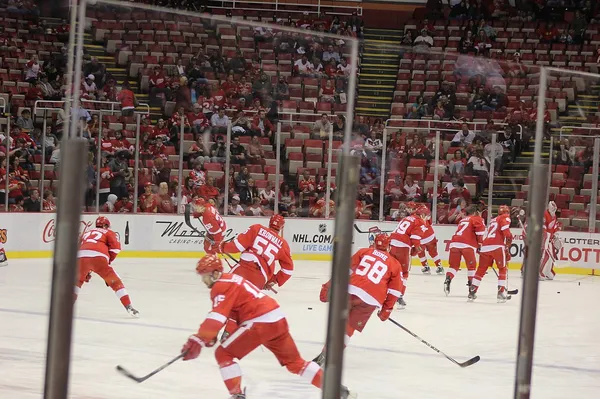 ����: ������ � Nhl 2006