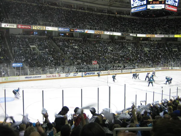 ����: ��������� ����� ��˻ ��� NHL09