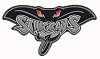 ��������-hull_stingrays_2007-08-kopiya.jpg