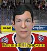 ��� "����� ������ 1979 ����" ��� NHL09-vasily-pervukhin-screenshot.jpg
