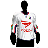 ����-���. ������� � �����������.-sokol-2.png