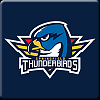 ����� ���-springfield-thunderbirds_.png