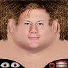 ����������: ������������ � ���������� FshX-gynge.png