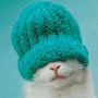 ������ ��� JingBandit