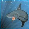 ������ ��� shark-68