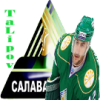 ������ ��� SALAVAT YULAEV
