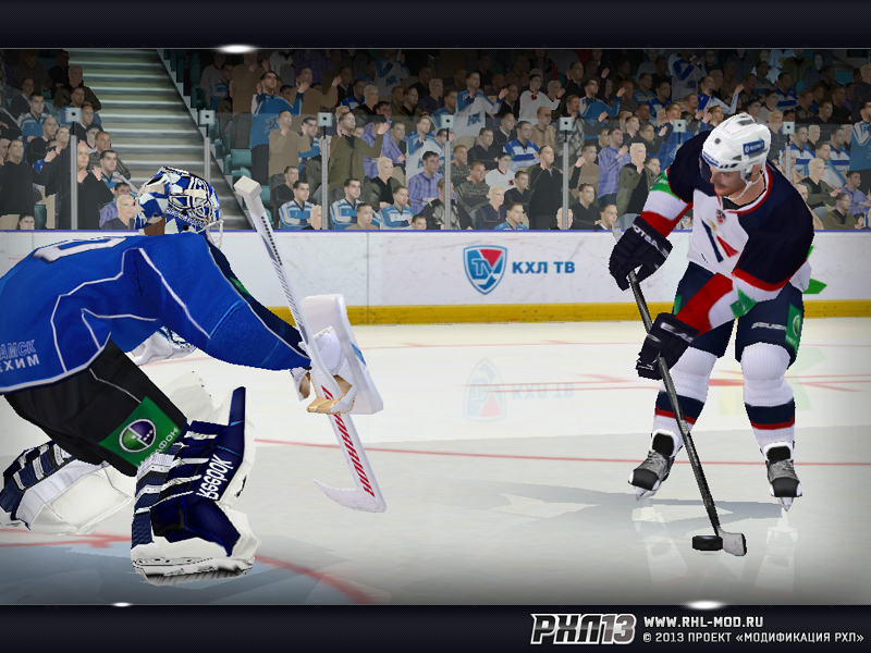 RHL13 screen 06