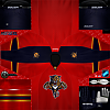 members/demoul-albums-nhl-picture4239-fp-home-2011-16.png