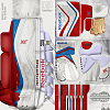 members/dmipas-albums-goalie-iihf-wc-15-picture3161-lars-haugen-norge-2015.png